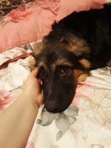 Юпитер дома!